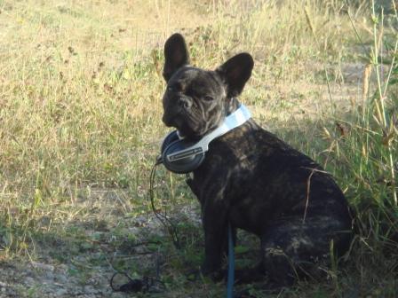 Молодой копатель, в поисках за идею!!!!