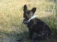 Молодой копатель, в поисках за идею!!!!