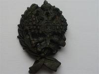  говорят что нагрудный знак ветeрeнарного врачa 1897г