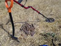 Из чернинки за сезон можно собрать трактор