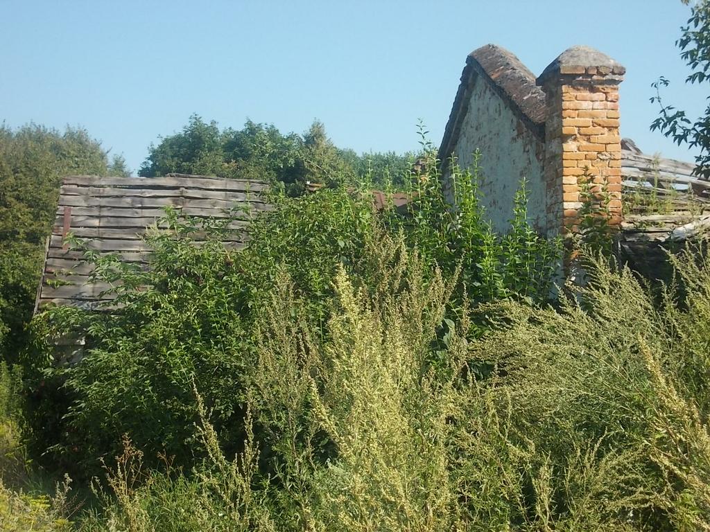 конюшня