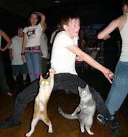 на дне рождения кота Гендальфа(он слева)))))