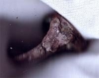 женское колечко....