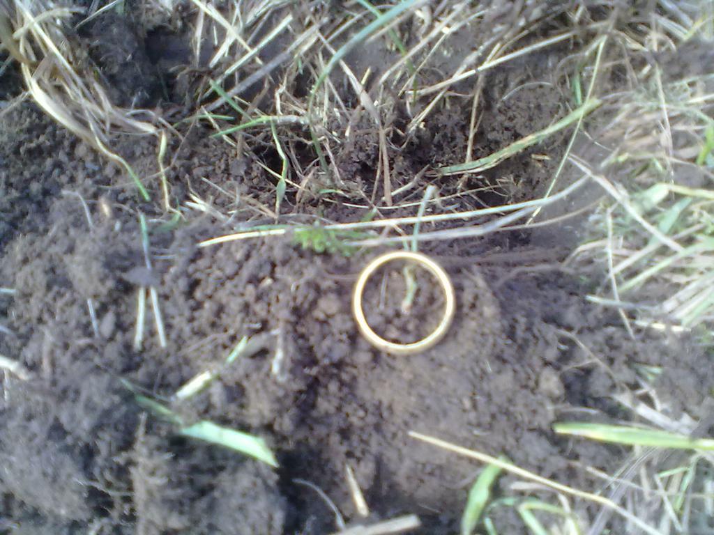 Первый рыжик......