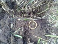 Первый рыжик......