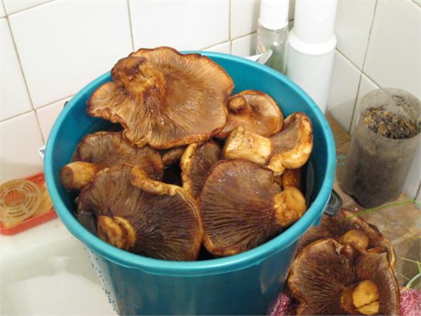 копал и накопал,а всё таки вкусно