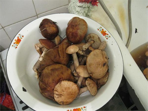 Такие и собирать приятно,в сторонку положив прибор МД