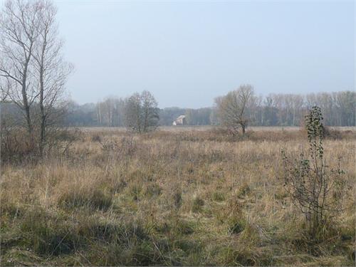 Селище поздней бронзы недалеко от мельницы