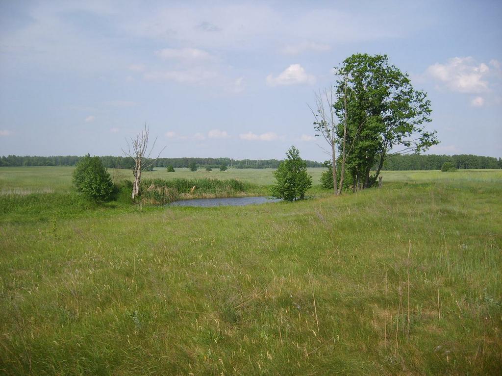OZERO2_1