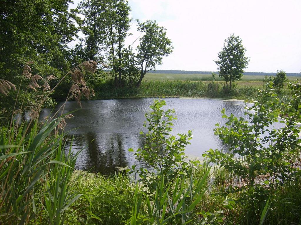 OZERO1_1