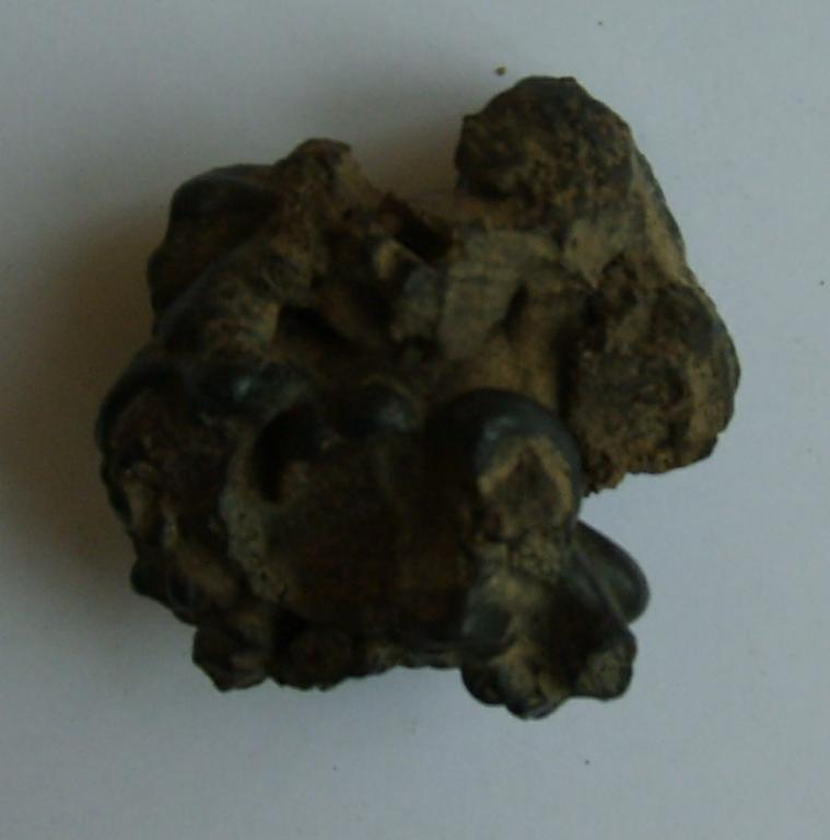 MT3