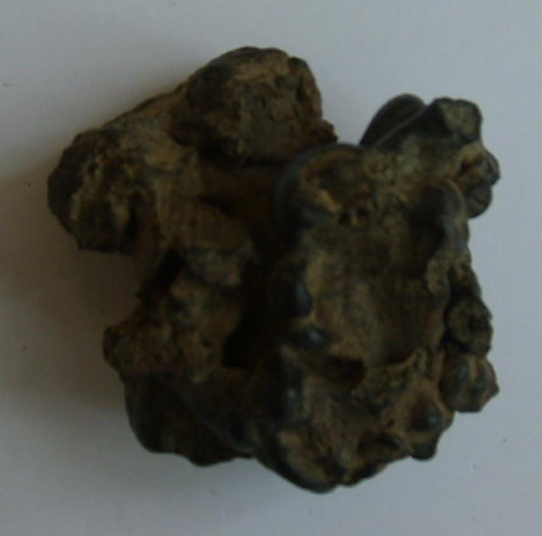 MT5