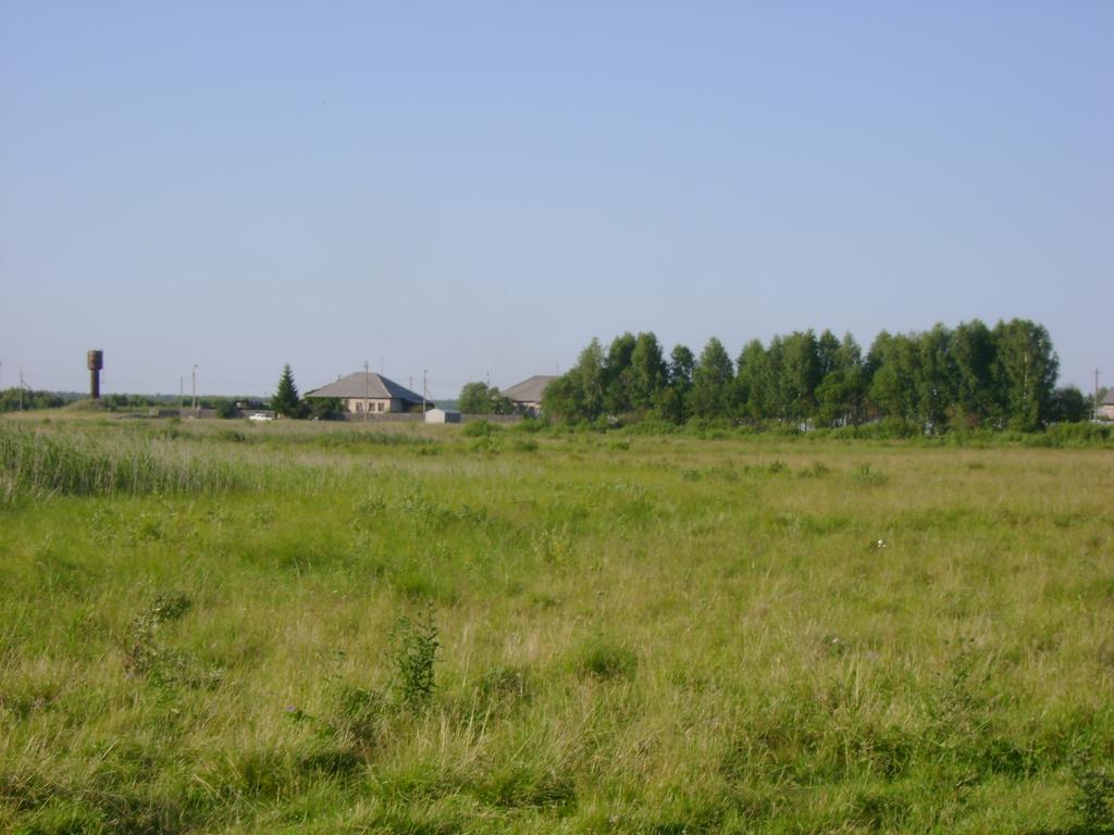 DSC00728