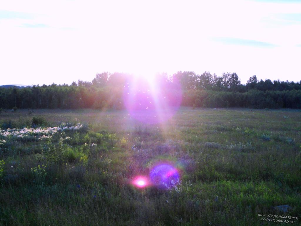 DSC03438