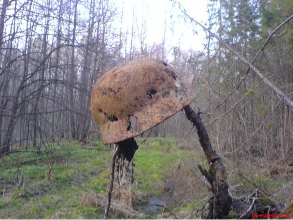 мясноборский котёл,в.новгород далина смерти.