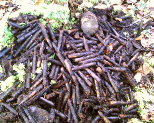 немецкие патроны