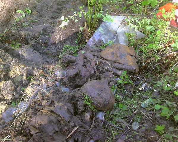 подготовка к переносу во времянку