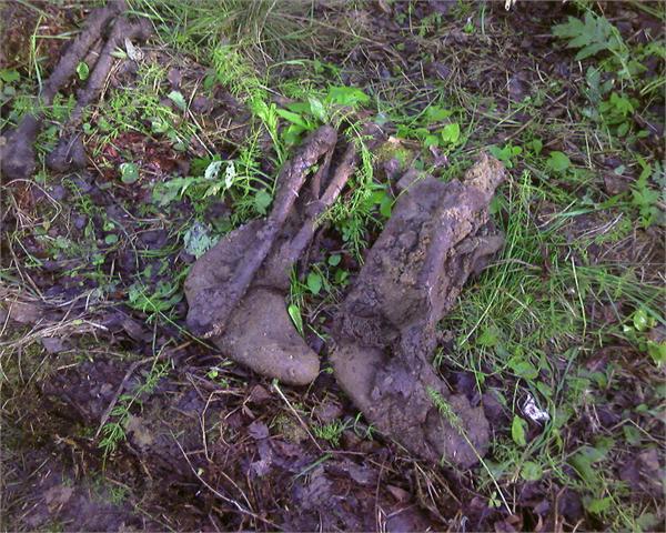 опись(валенки серые)