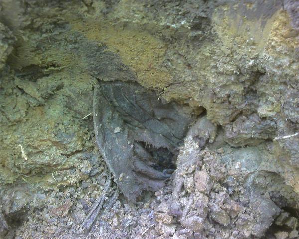 выемка погибших из траншеи