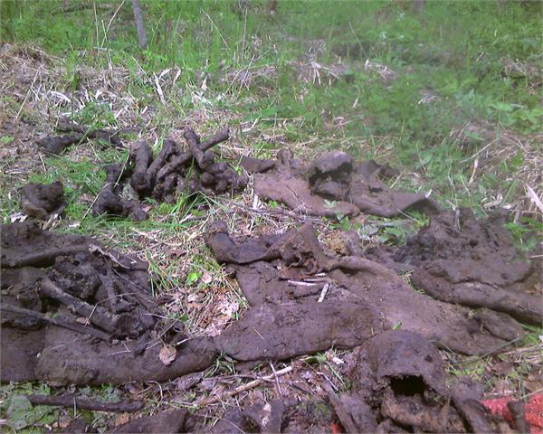 опись вещей и одежды погибших к.а.