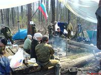 наш лагерь в лесу