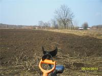 на копе(распашка).