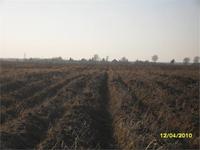 на копе(распашка).