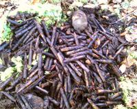 немецкие патроны