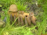 просто фотка