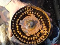 диск ,ППШ'в разборе