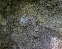 выемка погибших