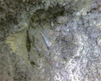 выемка погибших