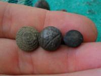 пуговки;гирьки.