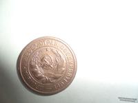 SAM_2247
