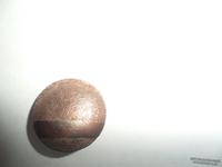 SAM_2257