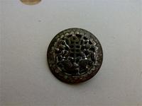 подскажите что это пуговица или оличительный знак