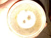 СЕРЕБРОМЪ З.Н.Ф.М.Е.№067 (надпись внутри)