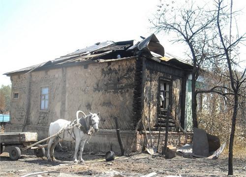 Июль 2010г.
