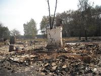 Июль 2010 г.