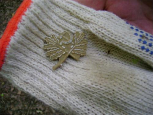 А лесника так и не нашли)))))