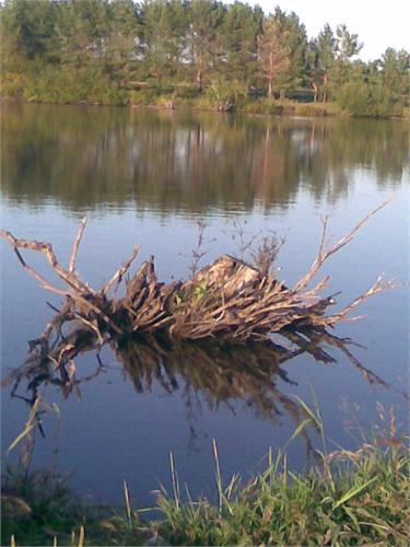 говорят, затопленная деревня (1800-1900 гг)...