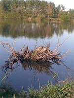 говорят, затопленная деревня (1800-1900 гг)...