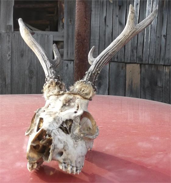 и зто тоже находка.