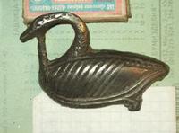 возле дома нашол птичку.