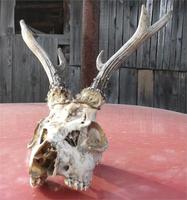 и зто тоже находка.