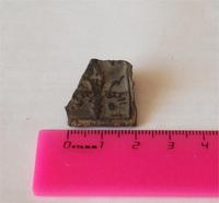 кусочек чего то