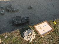 Зарисовки.