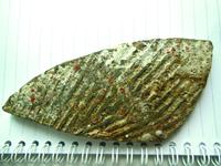 DSCN0441