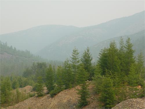 4531.jpg