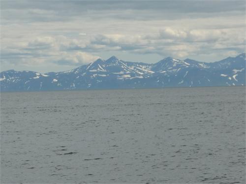 4541.jpg